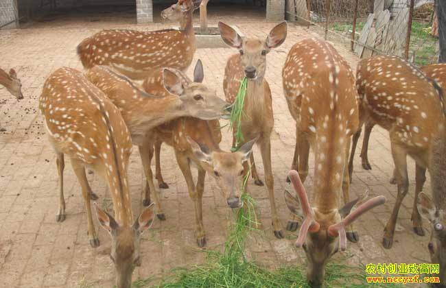 ����������������¹˾�·Т�ɵ�÷��¹��ֳ�¸���