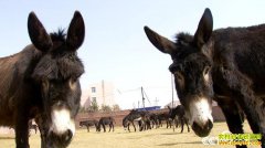 [�¸���]�������¾�ǿŮ����÷��¿�����Ƹ�