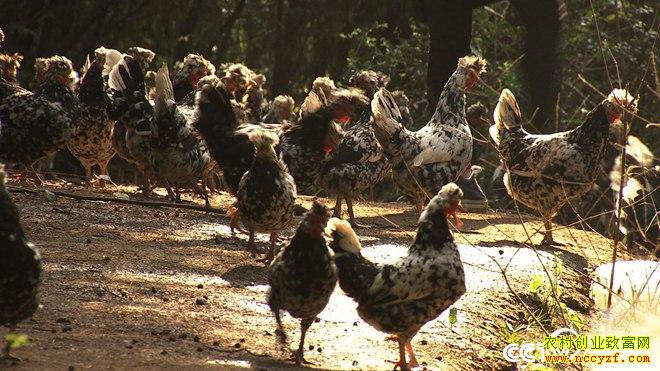 [�¸���]����ͭ�ʲ�����Ů�����ϼ��ֳ���������촫��Ƹ�