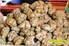 2018��5��22������ҩ�����߼۸�����