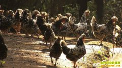 [�¸���]����ͭ�ʲ�����Ů�����ϼ��ֳ���������촫��Ƹ�