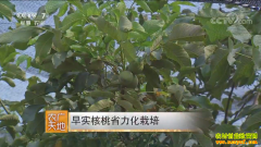 [ũ�����]��ʵ����ʡ�������༼����Ƶ