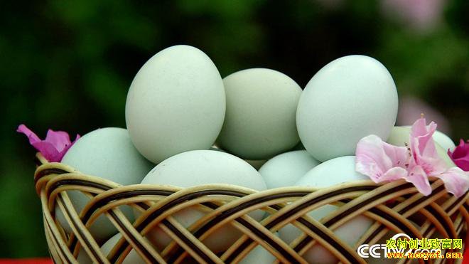 [�¸���]����Ƽ��90��Ů����ɺ���䵰����3000��