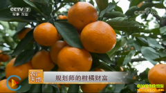 [ũ�����]�Ϻ��滮ʦ�ƹ����ĸ��ٲƸ�