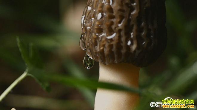 [�¸���]���Ϻغ�����ֲ��Ǿ���3���������ﳤ��1200��