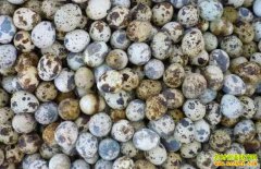 2018��5��27��ȫ�����ȵ��۸񱣳��ȶ�