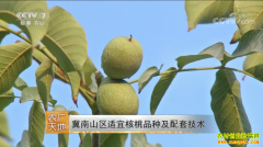 [ũ�����]����ɽ�����˺���Ʒ�ּ����׼���