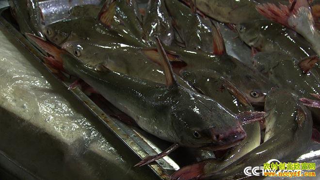 [�¸���]��������ϡ�����ù������˵����׬��ǧ��Ƹ�