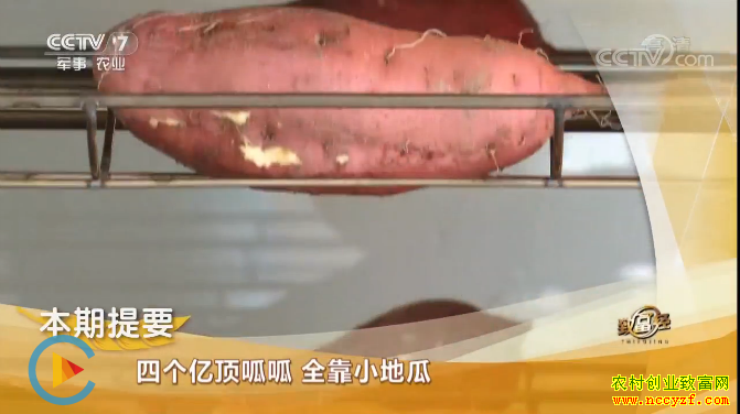 [�¸���]���ϳ������Ŀ���ֲ��ɳ�ع����ֵ�ĸ��ڶ�����