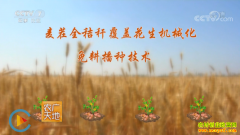 [ũ�����]���ȫ�ոѸ��ǻ�����е��������ּ�����Ƶ