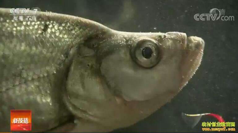 [�Ƽ�Է]һ������ ��׬���� 20180531