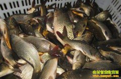 ��ˮ��۸���� ����ʦ��ע�����Ӱ��