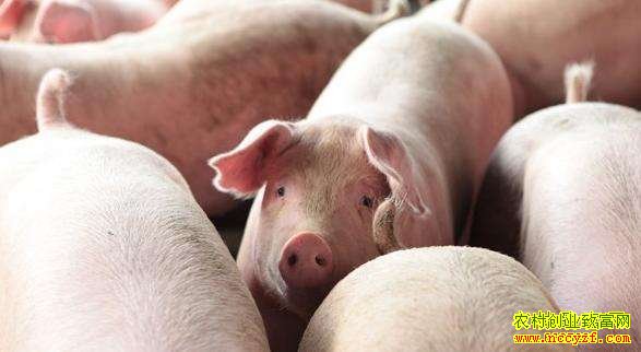 �����۸��½� �չ�������ֳ�Ȳ�ҵ�ܳ��