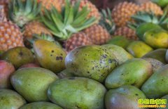 ������Ҳ�ӹ����� ����ˮ���г�������ô�ˣ�