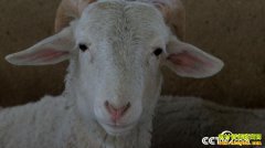 [�¸���]�������л��б����򣺱�����Ǯ������ ����׬Ǯ����׬