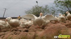 [�¸���]���ϲ����س¼���ˮ������ˮ��ˮ�¶�׬Ǯ