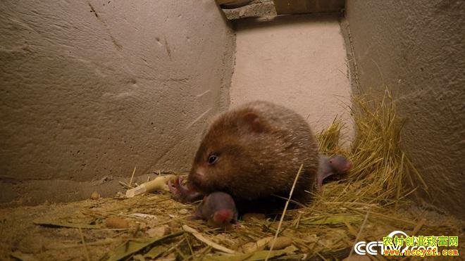 [�¸���]��ƭ������ ������������������һ������3000��