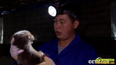 [�¸���]��ƭ������ ������������������һ������3000��