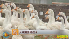 [ũ�����]̫������ֳ������Ƶ