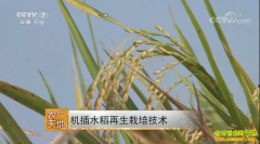 [ũ�����]����ˮ���������༼����Ƶ