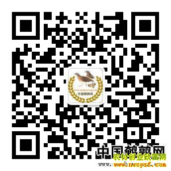 2018��6��20��ȫ�����ȵ��۸������е�