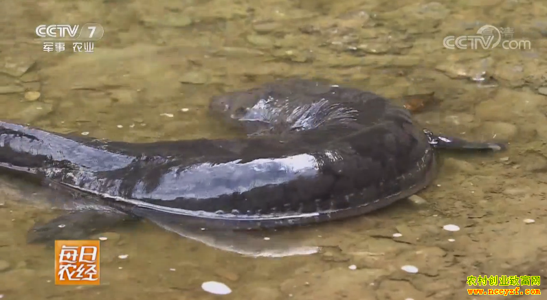 [ÿ��ũ��]��С��������������н��� 20180615