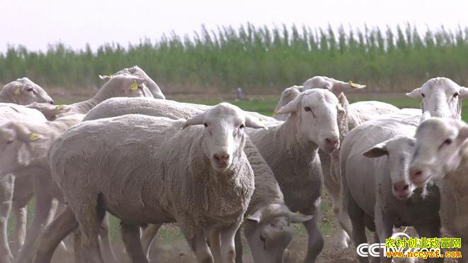 [�¸���]��˵Ǯ��׬ ���ɹŰ����׶�̷������զ����7��Ԫ��