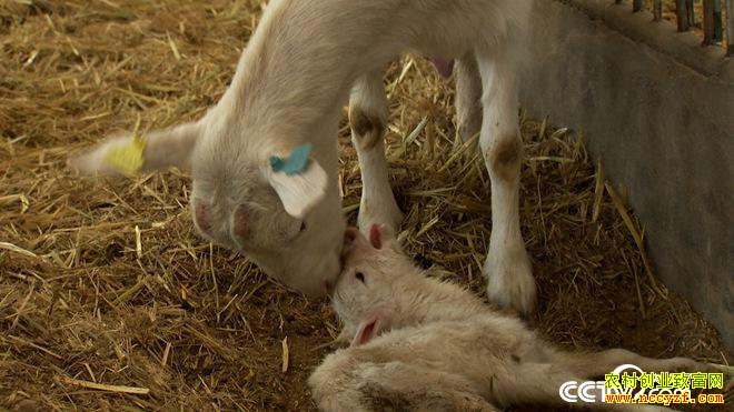 [�¸���]��˵Ǯ��׬ ���ɹŰ����׶�̷������զ����7��Ԫ��