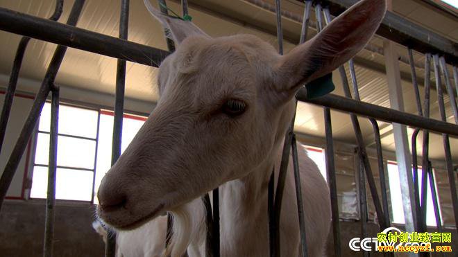 [�¸���]��˵Ǯ��׬ ���ɹŰ����׶�̷������զ����7��Ԫ��