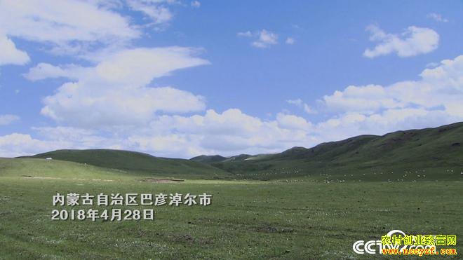 [�¸���]��˵Ǯ��׬ ���ɹŰ����׶�̷������զ����7��Ԫ��