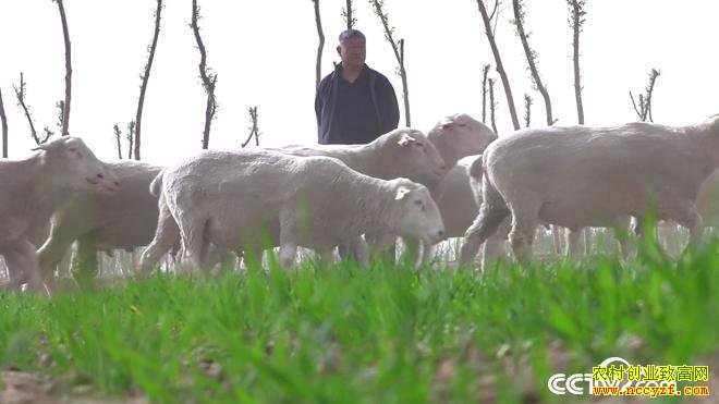 [�¸���]��˵Ǯ��׬ ���ɹŰ����׶�̷������զ����7��Ԫ��