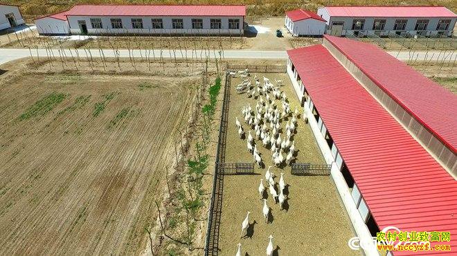 [�¸���]��˵Ǯ��׬ ���ɹŰ����׶�̷������զ����7��Ԫ��