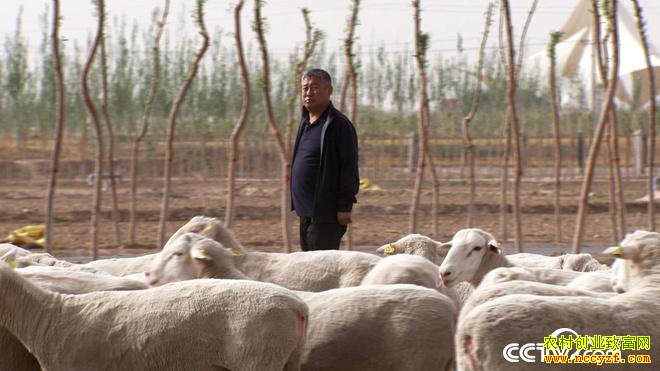 [�¸���]��˵Ǯ��׬ ���ɹŰ����׶�̷������զ����7��Ԫ��