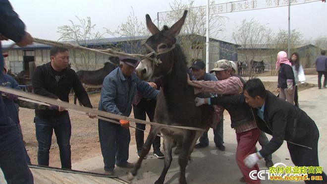 [�¸���]¿�ڶ�� ������Ҵ������¿һ������4��Ԫ