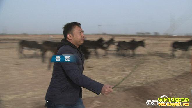 [�¸���]¿�ڶ�� ������Ҵ������¿һ������4��Ԫ