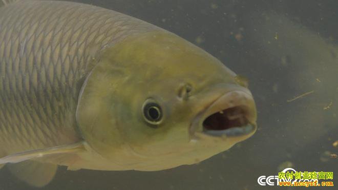 [�¸���]�㶫������������� һ�����۸�����50%�������