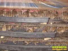 �½���������������ֳ�����ȡ��ġ����¸���