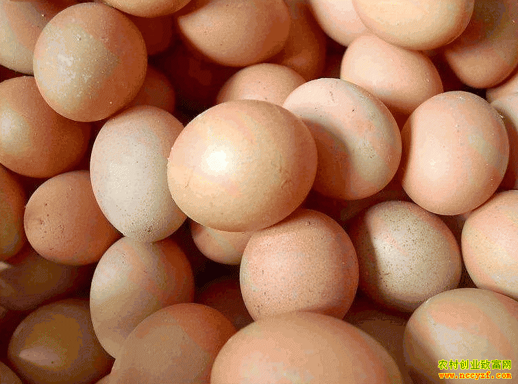 2018��8��12��ȫ�������۸����� ��������