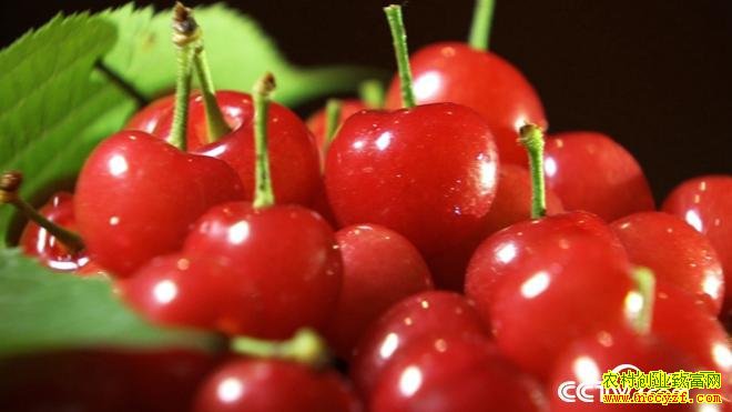 [�¸���]���ݱϽ�����ϱ���˹�����仰��׬150��