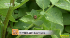 [ũ�����]������ư��ķ�������μ�����Ƶ