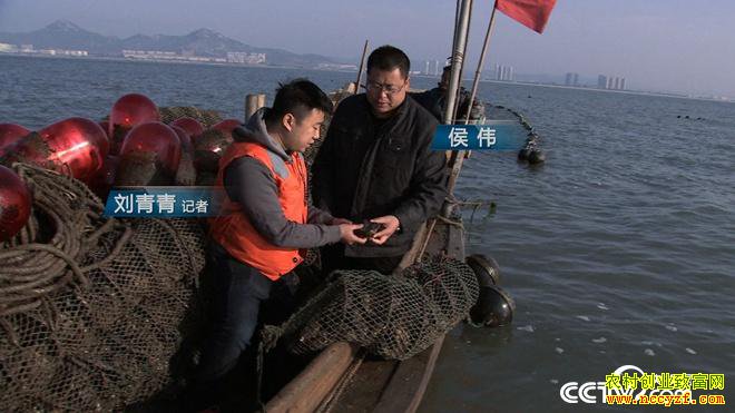 [�¸���]ɽ����ɽ�տ�̯�ϰ��ΰ��ֳĵ����׬200��