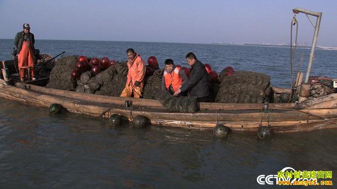 [�¸���]ɽ����ɽ�տ�̯�ϰ��ΰ��ֳĵ����׬200��