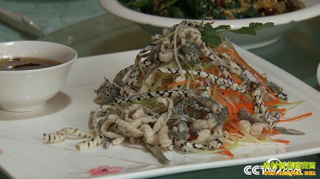 [�¸���]�Ĵ���������Ů���ܺ�÷���ͷ ����������׬������