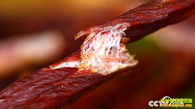 [�¸���]������˫���ɺ�ǿϱ��������ֳ����С��������600��