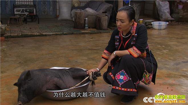 [�¸���]������˫���ɺ�ǿϱ��������ֳ����С��������600��