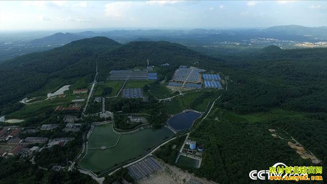 [�¸���]������������ǿ30ͷɽ�������1.5��Ԫ