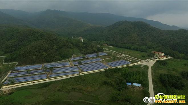 [�¸���]������������ǿ30ͷɽ�������1.5��Ԫ