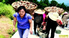 �Ĵ��Ͻ������ݴ壺��ֲ������ߵ���¸���