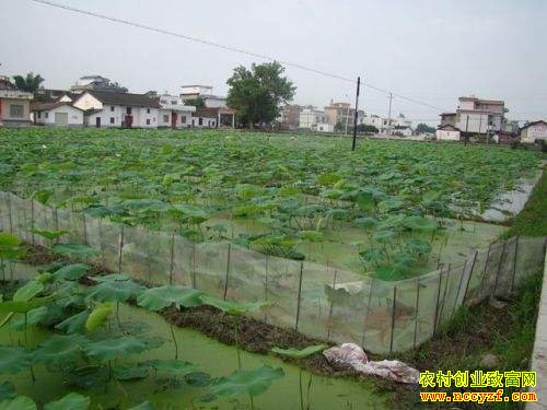 ��Ϻź���֡���ũ�� ���ո��϶�����ź������С��ϺЧ���