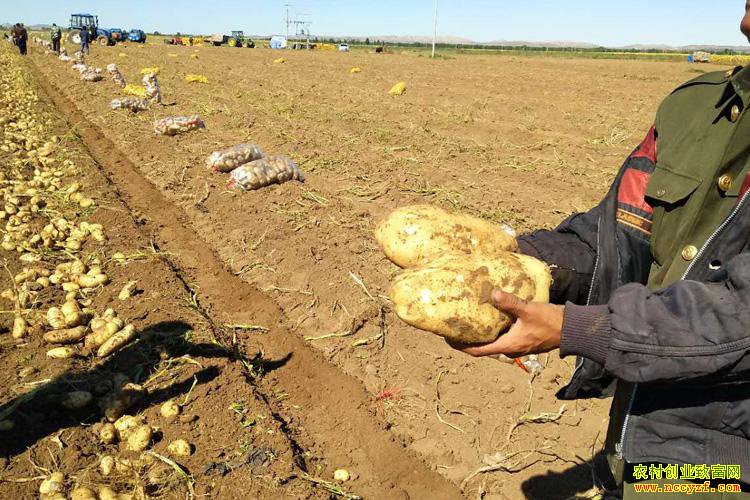 ��β�������ũ��Ʒ�����ġ���Ȧ����